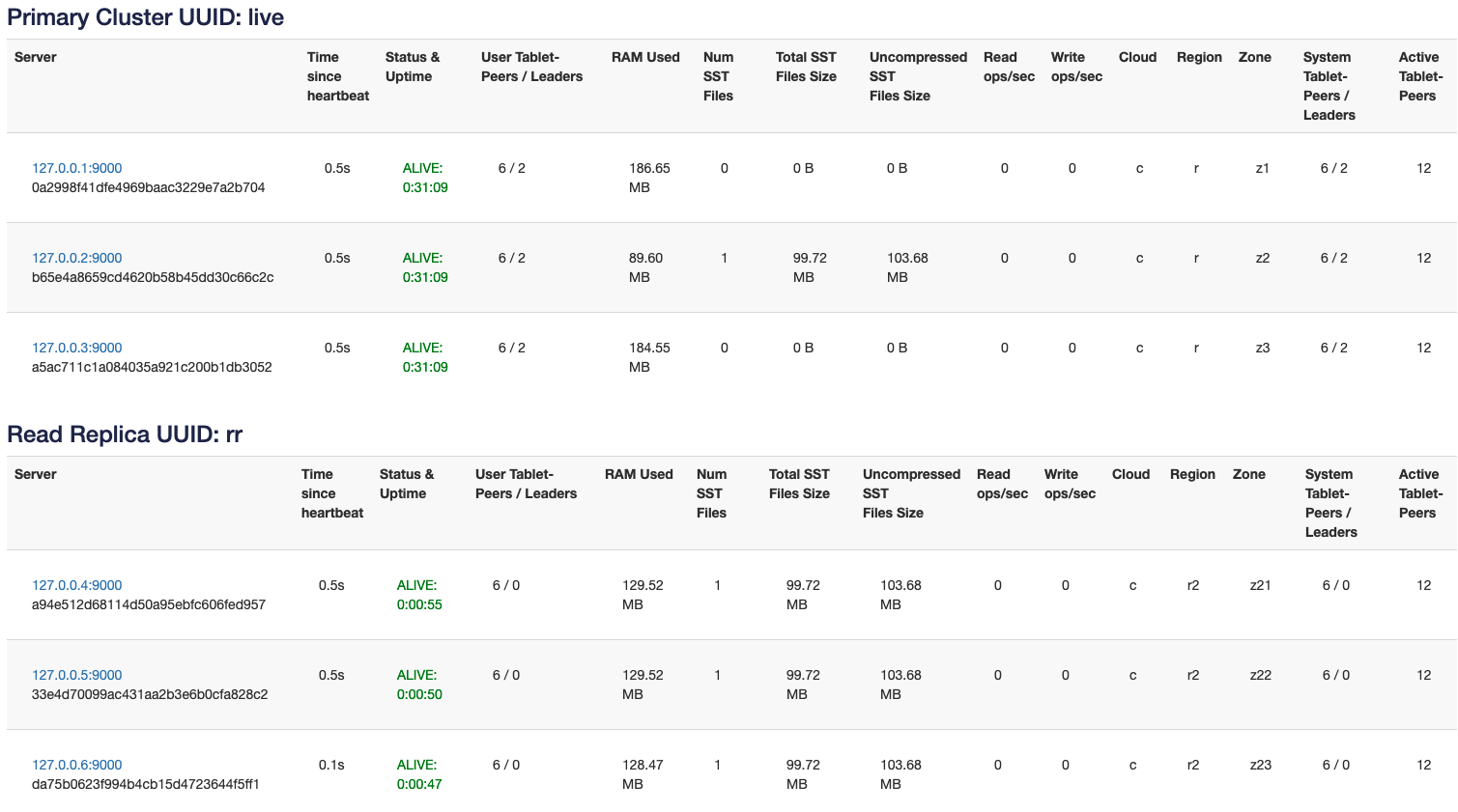 Primary and read replica Primary and read replica